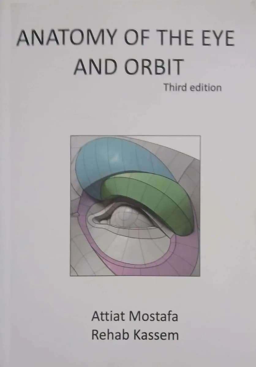 Anatomy Of The Eye And Orbit