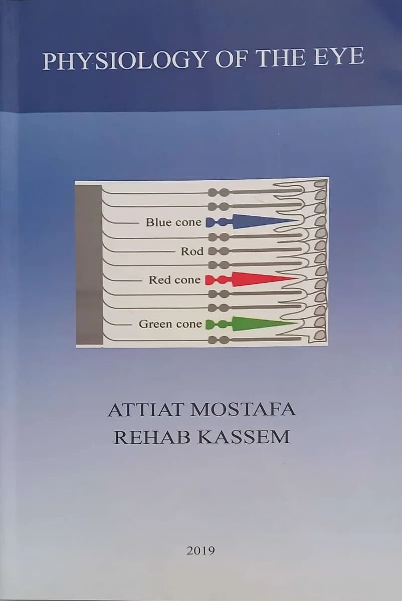 Physiology Of The Eye