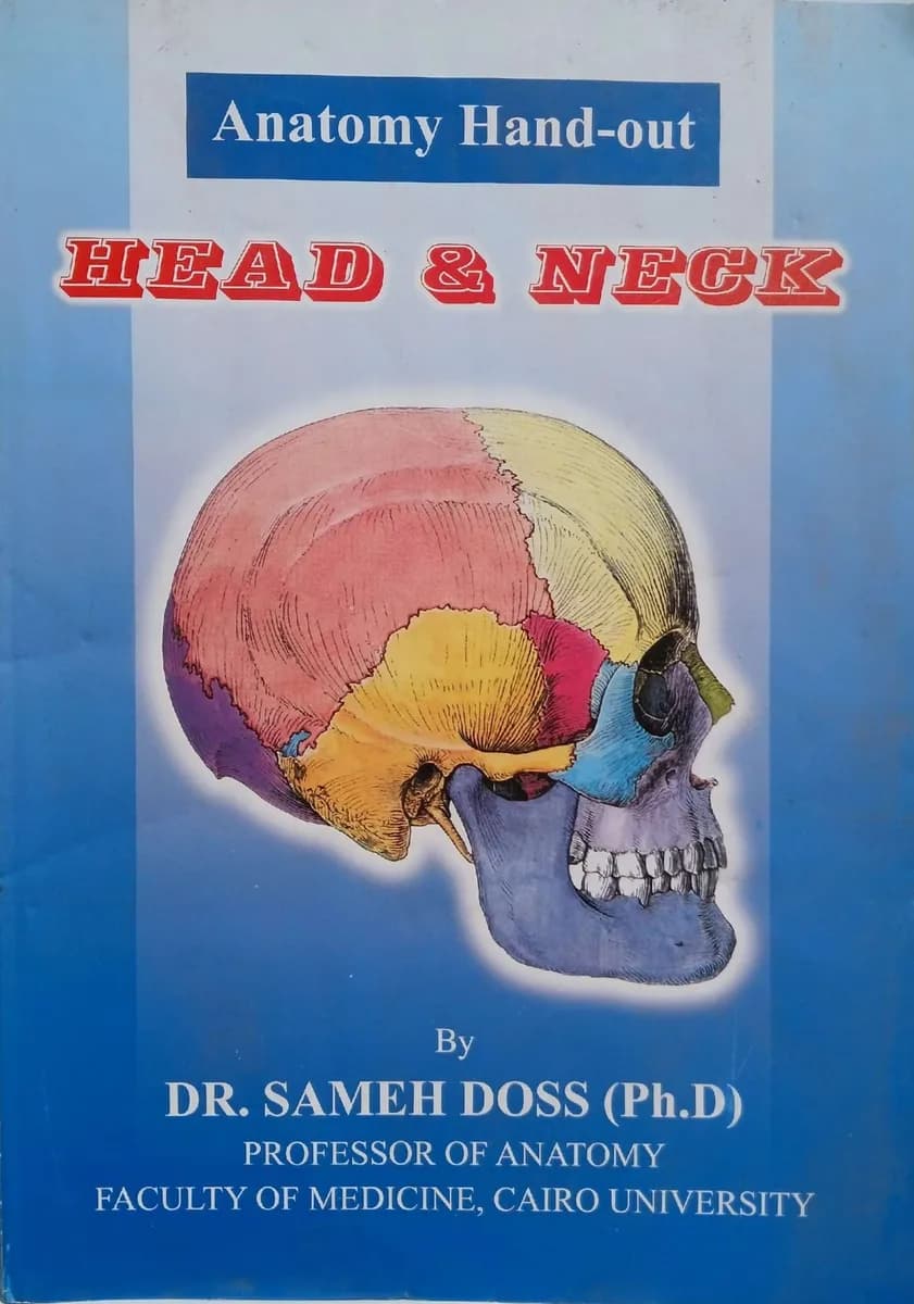 Anatomy Hand-out: Head & Neck