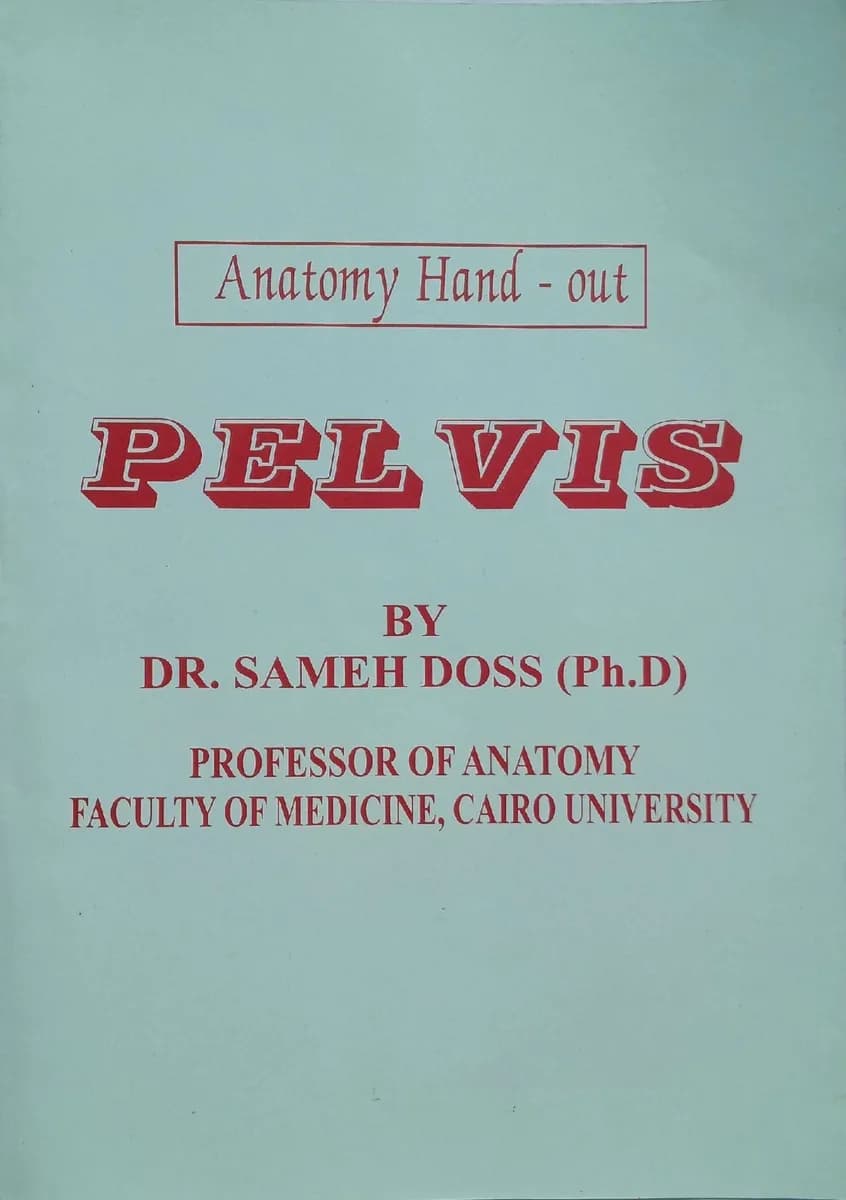 Anatomy Hand-out: Pelvis