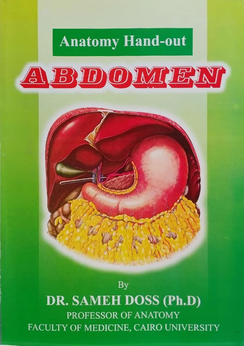 Anatomy Hand-out: Abdomen